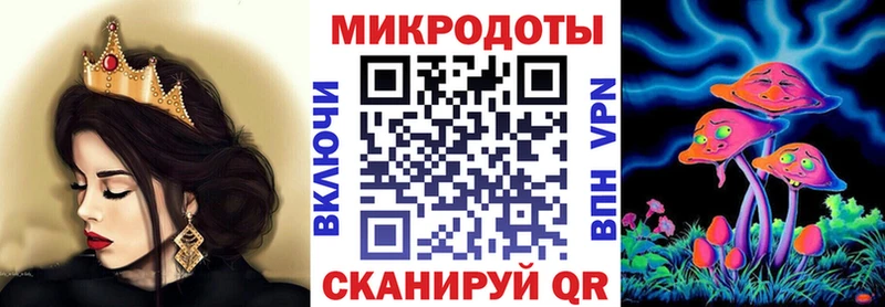 Псилоцибиновые грибы Psilocybe Ряжск